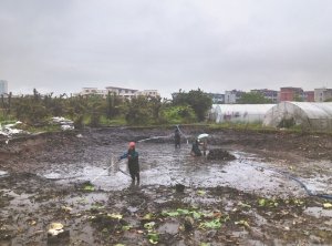 长沙河道鱼塘清淤